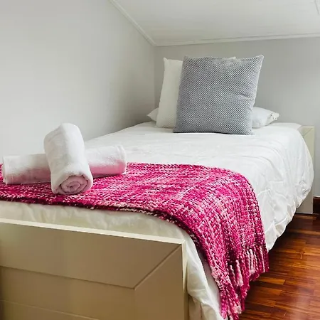 Atico Al Lado Del Ayuntamiento * Oviedo