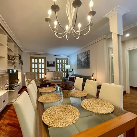 Atico Al Lado Del Ayuntamiento *