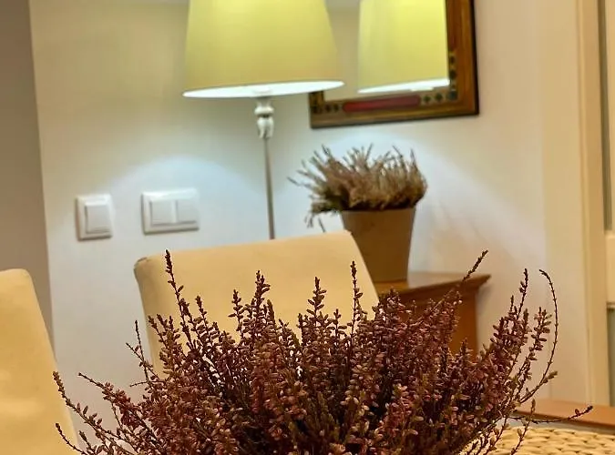 Atico Al Lado Del Ayuntamiento דירה