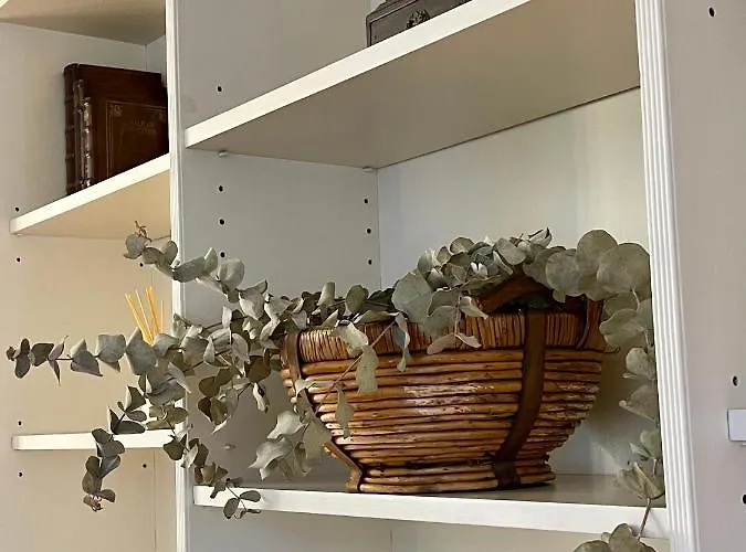 Atico Al Lado Del Ayuntamiento אוביידו